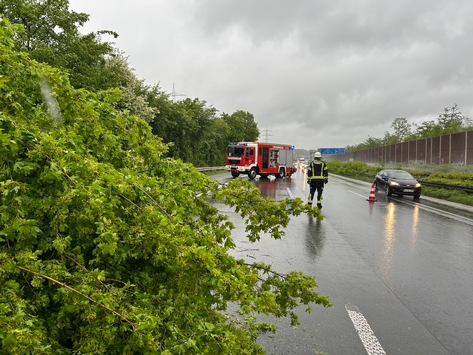FW-Lohmar: Mehrere wetterbedingte Einsätze nach starken Windböen
