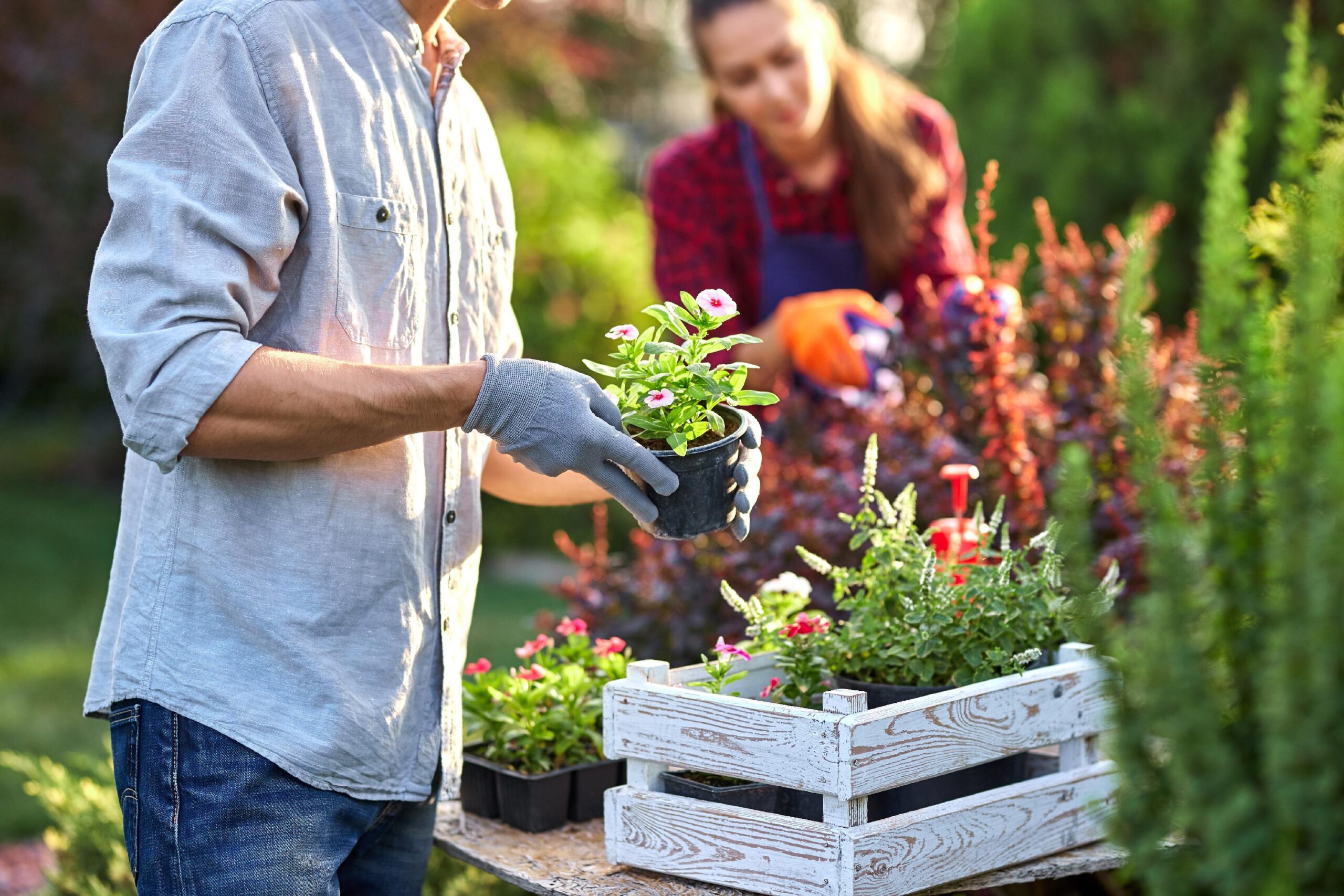 Gartenarbeit im September: Diese fünf Aufgaben sollten Sie jetzt erledigen