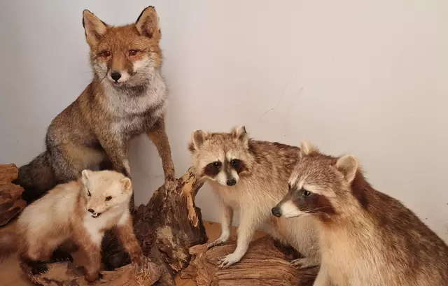 Jäger mit Reh, Fuchs und Hase beim Familienfest