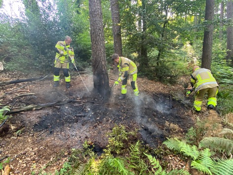 FW-MK: Waldbrand rechtzeitig entdeckt