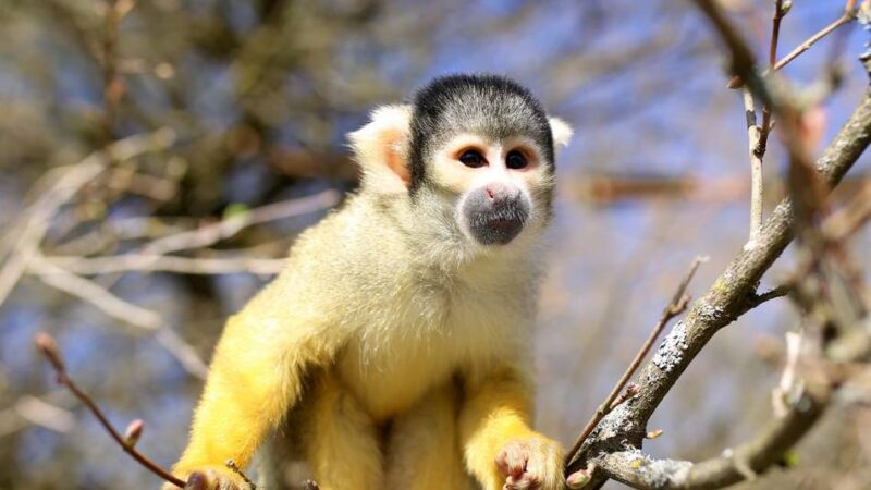 Freizeit im Bergischen Land: Tierische Tipps für die Sommerferien