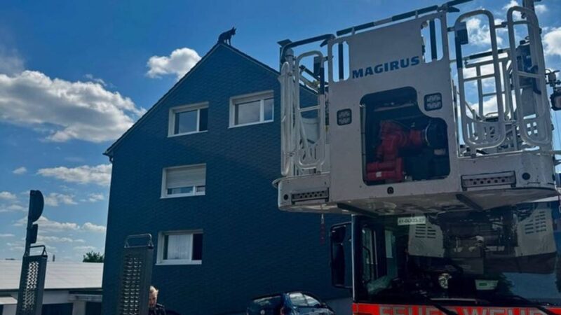 Aufwendiger Einsatz in Remscheid: Feuerwehr rettet ausgebüxten Schäferhund von Hausdach
