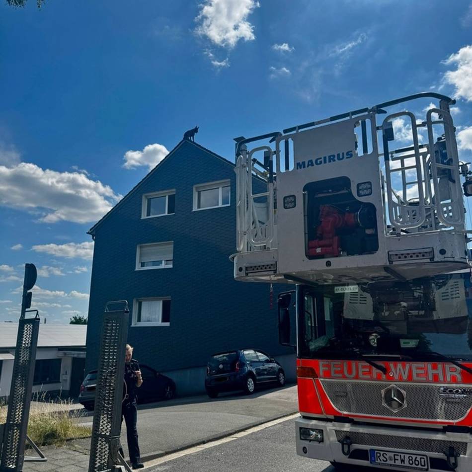 Aufwendiger Einsatz in Remscheid: Feuerwehr rettet ausgebüxten Schäferhund von Hausdach