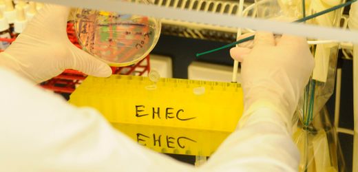 EHEC: Mehrere Kinder in MV schwer an gefährlichem Keim erkrankt