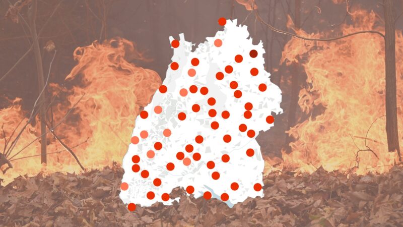 Waldbrandgefahr in Ihrer Region