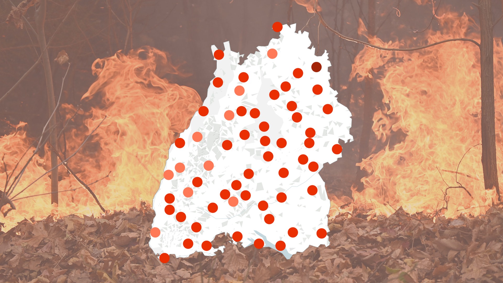 Waldbrandgefahr in Ihrer Region
