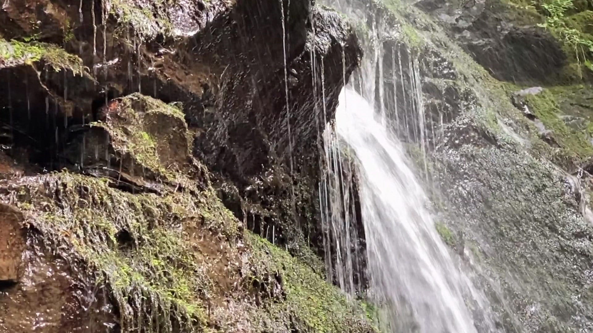 Heimatspur Wasserfall-Erlebnisroute in der Eifel