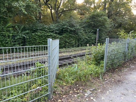 FW Paderborn: Feuerwehr rettet sieben Schwäne von Bahngleisen