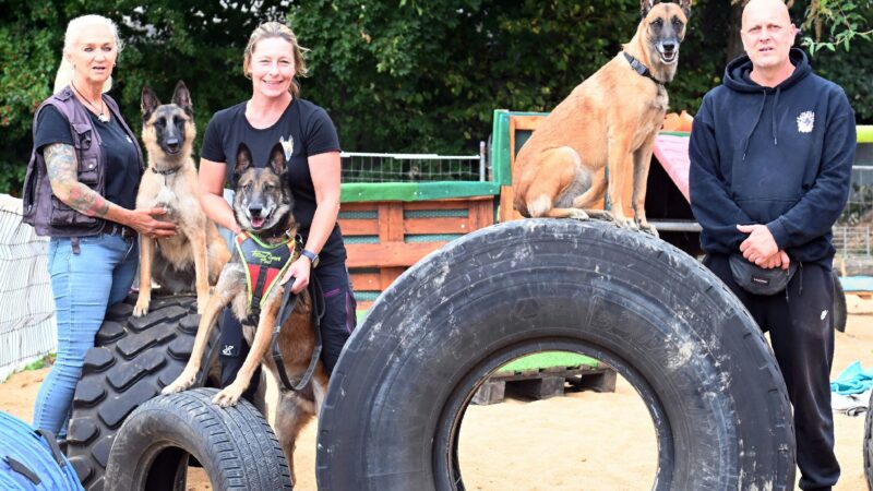 Bällebad für Hunde: Verein öffnet neuen Parcours in Köln-Weidenpesch