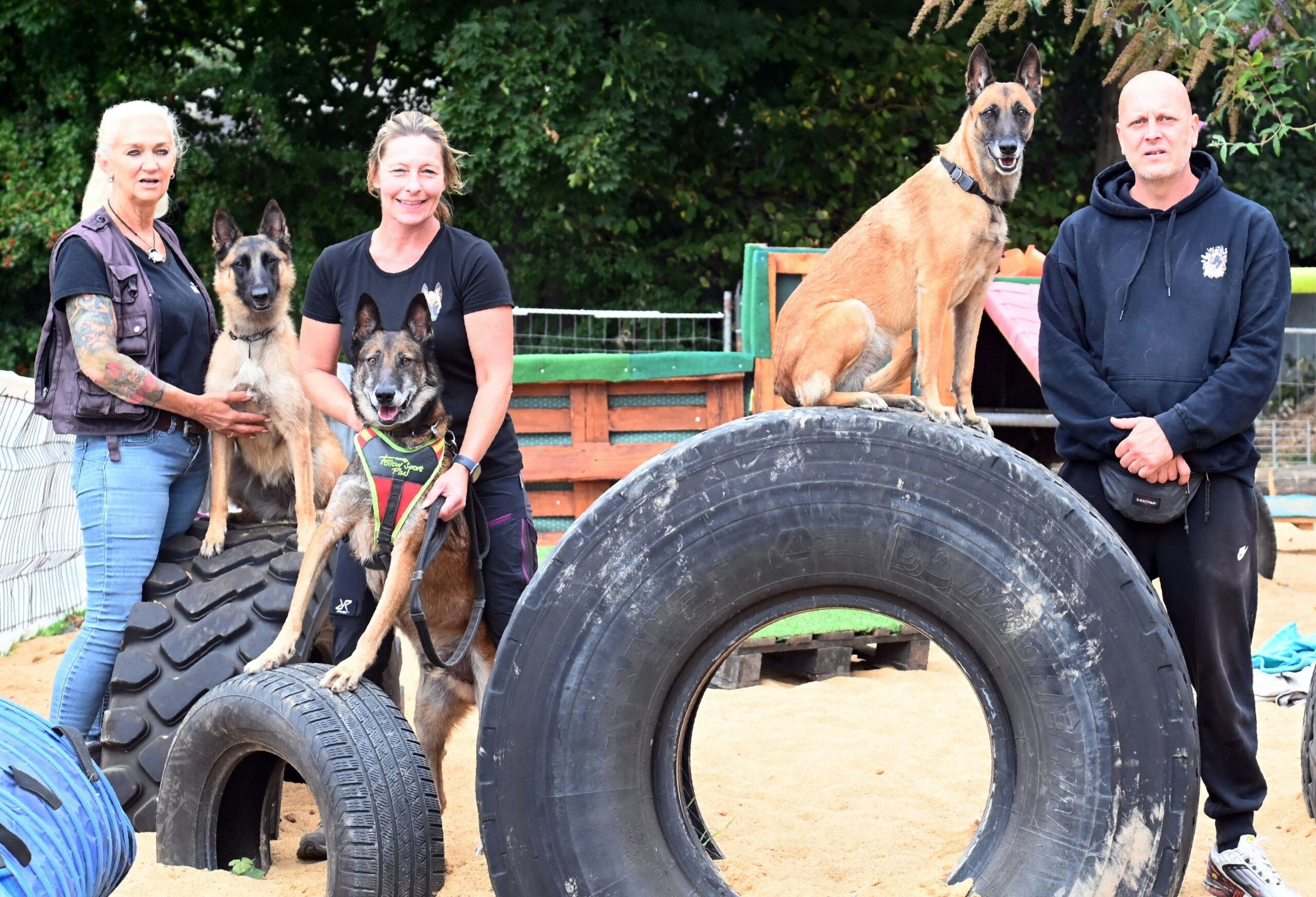 Bällebad für Hunde: Verein öffnet neuen Parcours in Köln-Weidenpesch