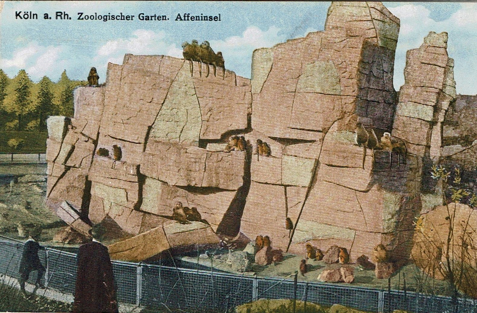 Zoo-Geschichten: Als die Affeninsel im Kölner Zoo eingerichtet wurde