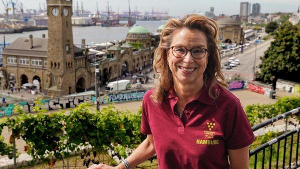 Nach jahrelanger Pause: Erstmals wieder Weinlese am Stintfang