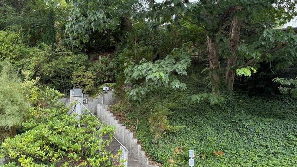 Brutaler Raub in abgelegenem Haus: 80-Jähriger schwer verletzt