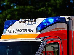Schwerer Unfall am Behler See: 25-jährige Betreuerin in Jugend-Camp von Baum erschlagen