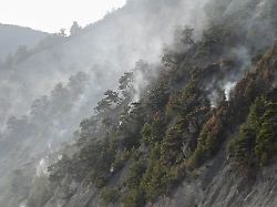 Ukrainische Drohnen stürzt ab: Waldbrand in Südrussland bedroht Putins angebliche Luxusresidenz