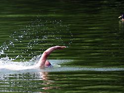 Begegnungen mit Fischen: Wels und Co.: Wer schwimmt – außer mir – im Badesee?