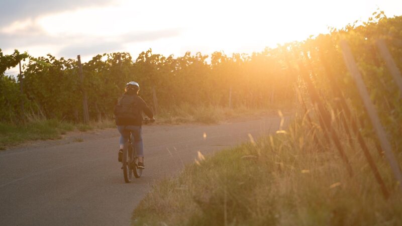 Vitamin D als unterschätzter Fitness-Booster? So wichtig ist das Sonnenvitamin für den Muskelaufbau