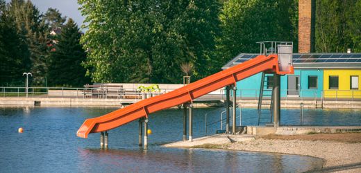 Dresden: Freibad gibt Rabatt – wegen Zerkarien im Wasser
