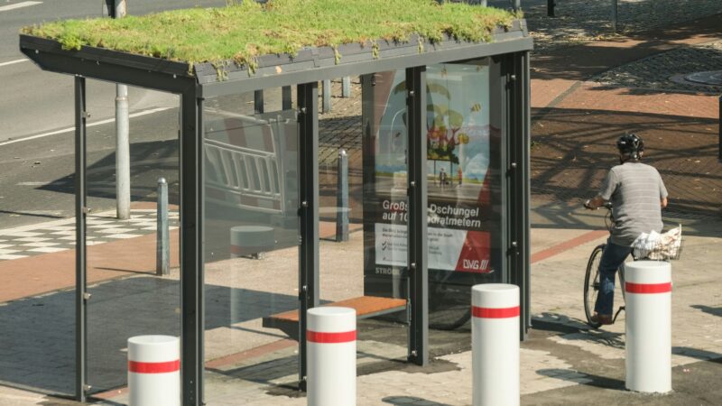 100 Ideen für Köln: „Ich wünsche mir begrünte Wartehäuschen an allen KVB-Haltestellen“