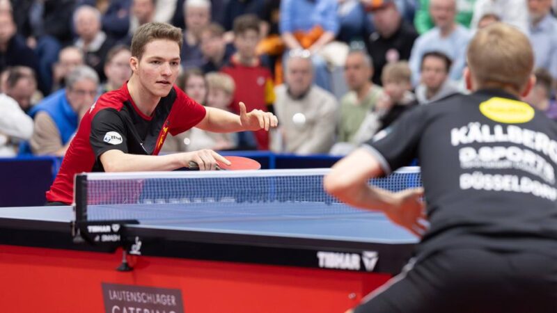 Bad Homburg startet in Tischtennis-Bundesliga: Neue Männer braucht das Tischtennis-Land
