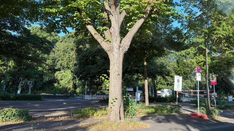 P+R Marienburg: Parkplatz an Haltestelle „Heinrich-Lübke-Ufer“ gesperrt