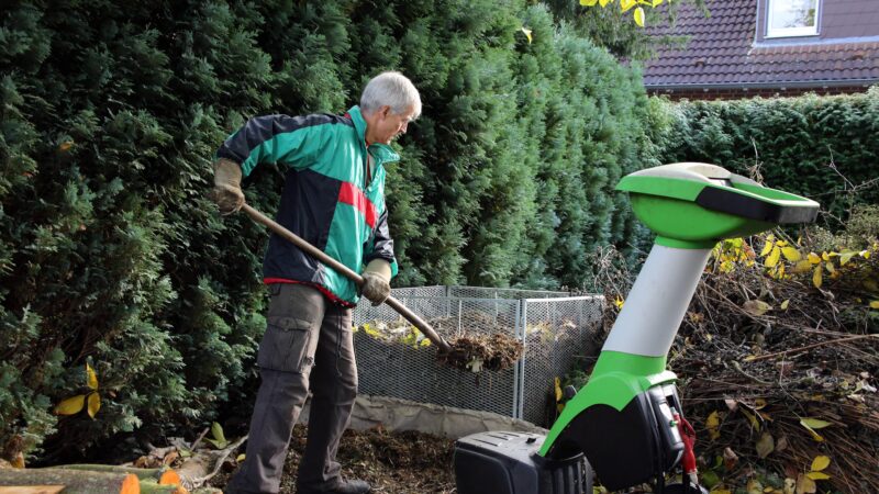 Ab Oktober wieder erlaubt: Das müssen Gärtner zum Heckenschnitt wissen