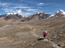 Viele biologische Anpassungen: Wie die Evolution noch immer Menschen verändert