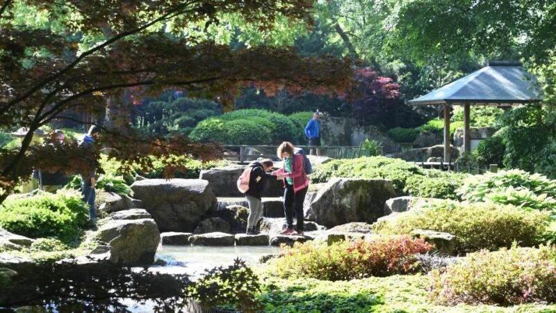 Online-Umfrage: Botanischer Garten Augsburg schlägt Münchner Hofgarten