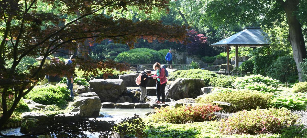 Online-Umfrage: Botanischer Garten Augsburg schlägt Münchner Hofgarten
