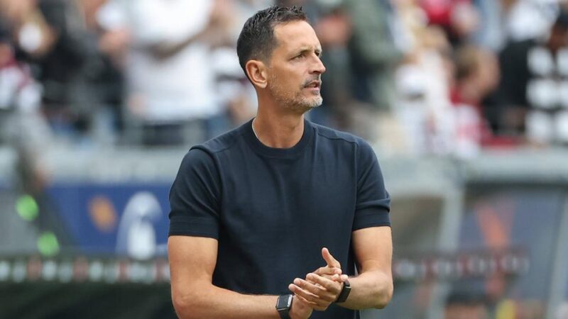 Eintracht Frankfurt bei der TSG Hoffenheim: Echtes Brett und gefühltes Heimspiel