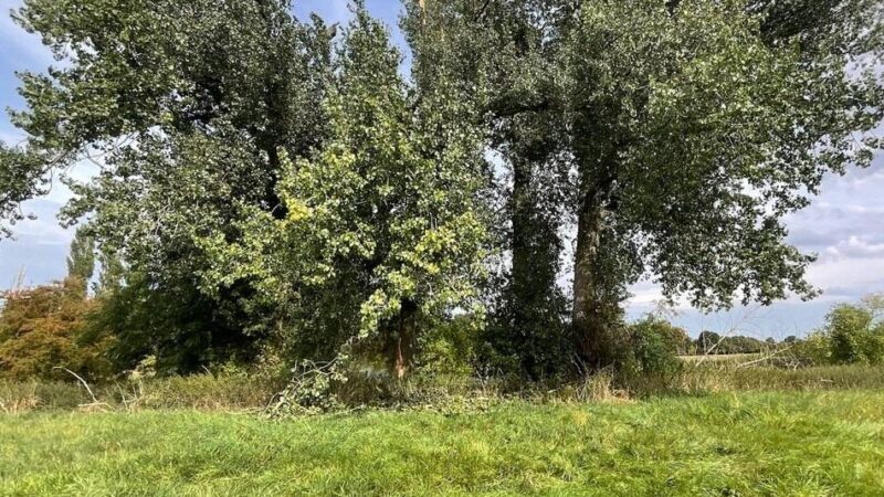 Freiwillige Feuerwehr Alpen war mit allen Einheiten im Einsatz: Brand nach Blitzeinschlag in Menzelen