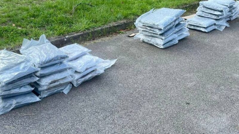 Einsatz des Zolls auf der A57: Spürhunde erschnüffeln Drogen im Wert von mehr als einer halben Million Euro