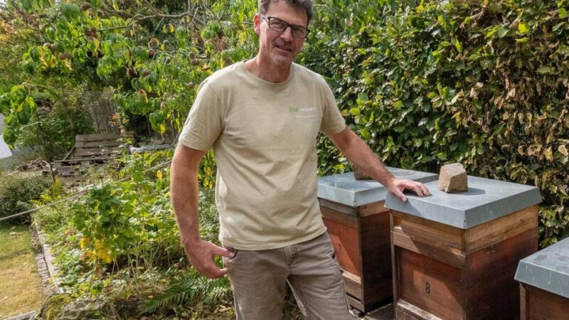 Tag der offenen Tür in Stürzelberg bei Imker Thomas Hörster: Ohne Bienen – keine Menschen