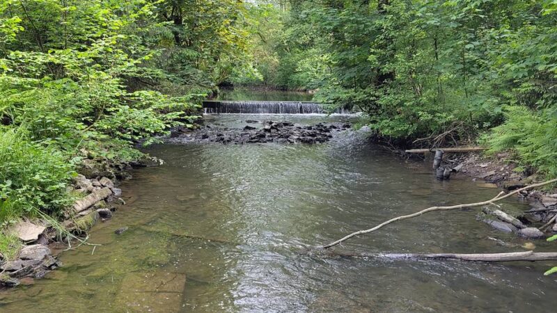 Wupperverband in Wipperfürth aktiv: Freie Bahn für Fische und Kleinstlebewesen
