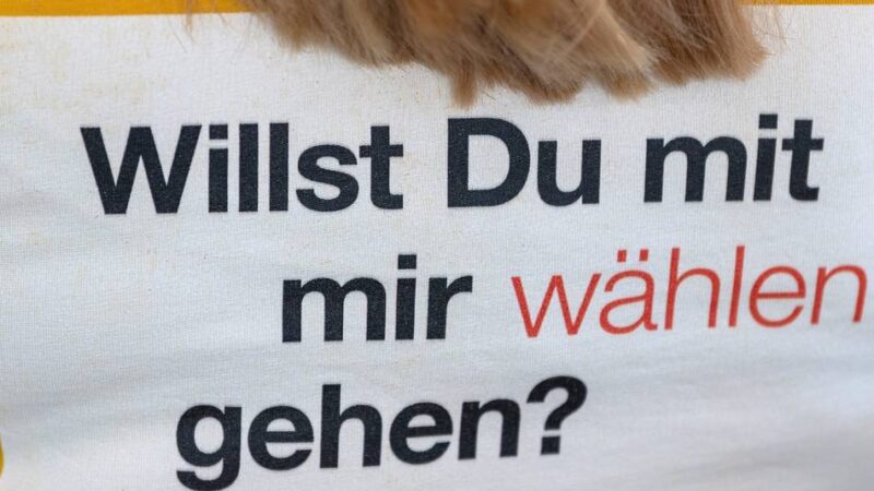 Kommunalwahl 2025: Wahl-O-Maten zur NRW-Kommunalwahl – diese Möglichkeiten gibt es
