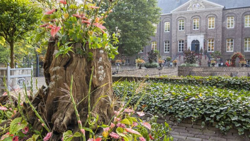 Blumenfest in den Schlossgärten in Arcen: Blütenfarbe und Blumenduft als Balsam für die Seele