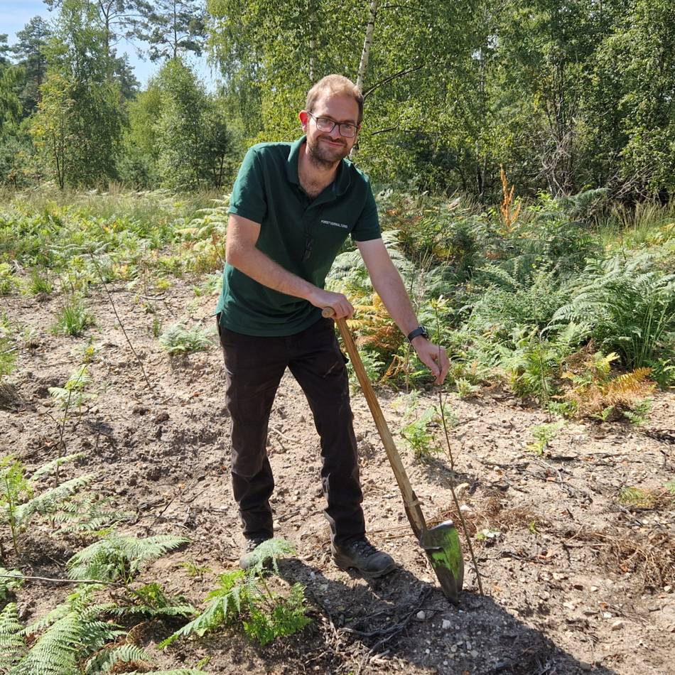 Grenzland beteiligt sich an Aufforstungsaktion: Eine Millionen Bäume für NRW – auch im Westkreis