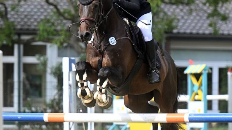 Beliebte Turnierserie endet: Beim RV „von Bredow“ Wetten steigt das Finale des Rasenchampionats