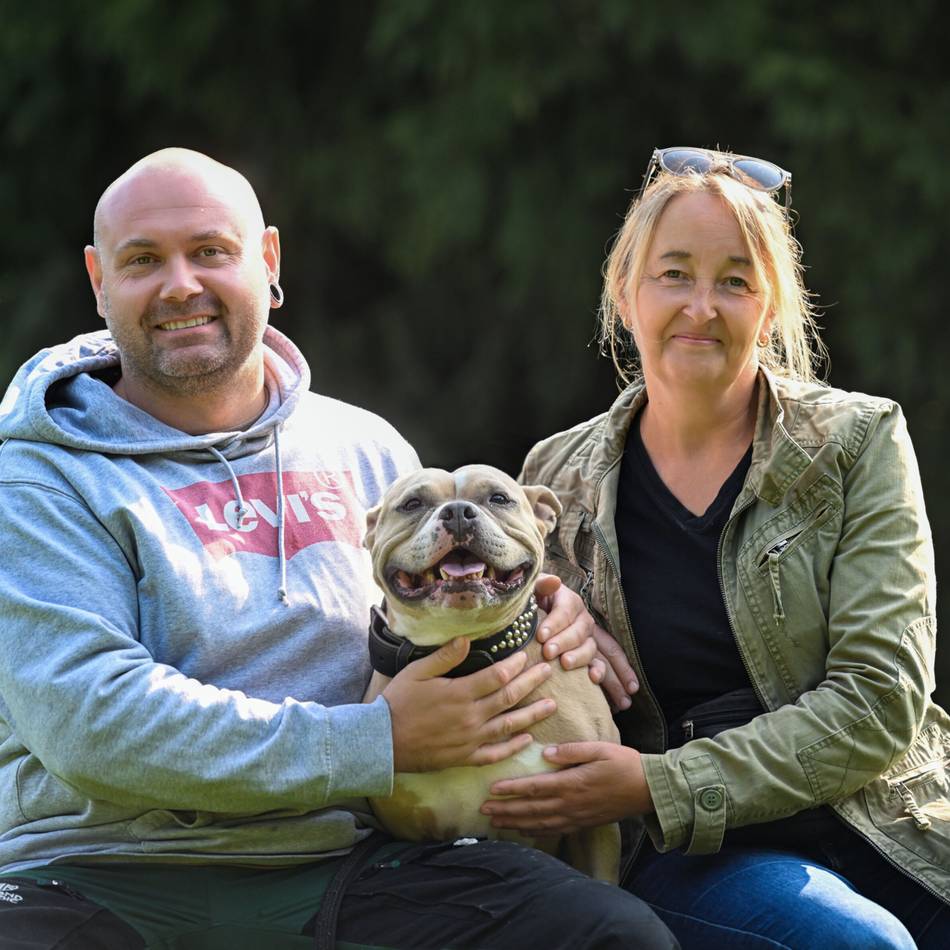 Vom Kampfhund zum treuen Begleiter: „Polly hat mein Leben komplett umgekrempelt“