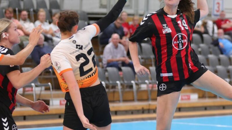 Heimpleite zum Ligastart: Verbesserte Elfen verlieren knapp gegen Waiblingen
