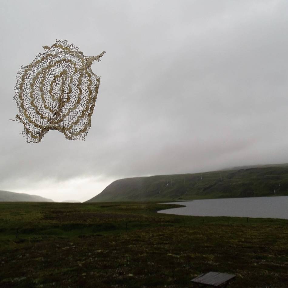 Ausstellung im Kreishaus in Bergisch Gladbach: „Wald und Sturm“ – Kunst trifft Klimawandel