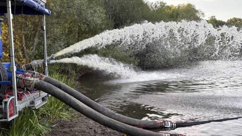 Tote Fische: Rotbachsee in Dinslaken droht umzukippen – THW im Einsatz
