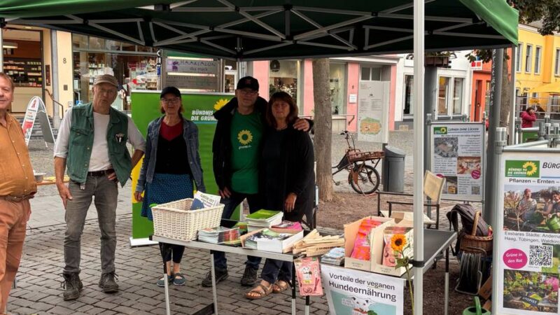 Kommunalwahl in Xanten: Grüne stellen ihr Wahlprogramm vor