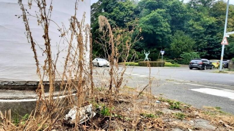 Das sagen die Parteien zu Abfall und Unkraut: „Wilde Müllkippen sind nicht hinnehmbar – mehr Kontrollen müssen her“