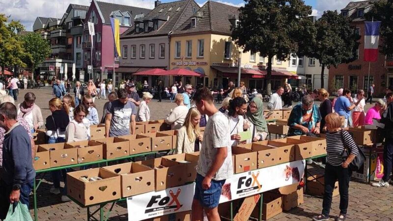 Erlös aus Bücher-Trödelmarkt: Fox spendet an Fördervereine der Grundschulen