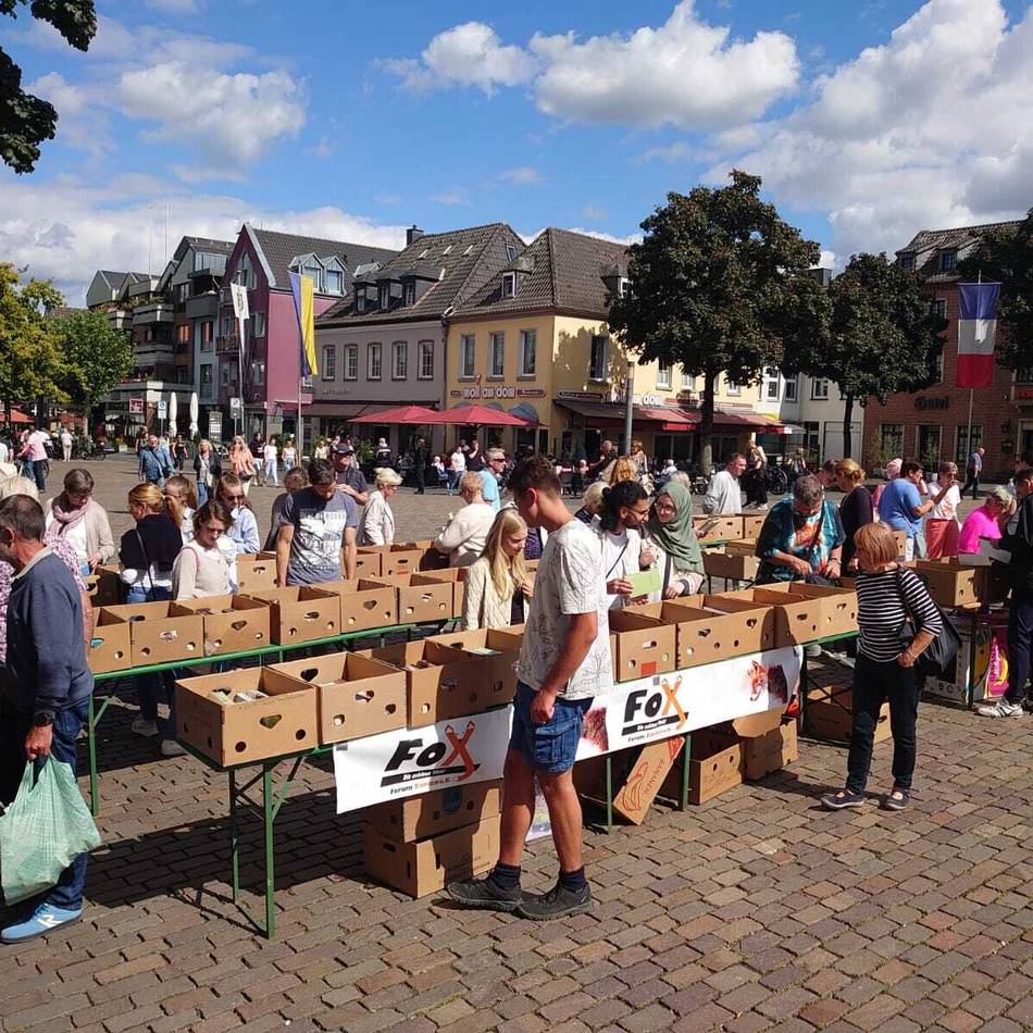Erlös aus Bücher-Trödelmarkt: Fox spendet an Fördervereine der Grundschulen