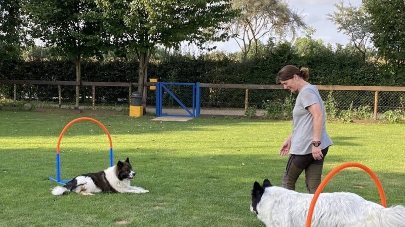 Jubiläumsfeier in Schiefbahn: Hundeschule lädt zum „Tag des Hundes“ ein