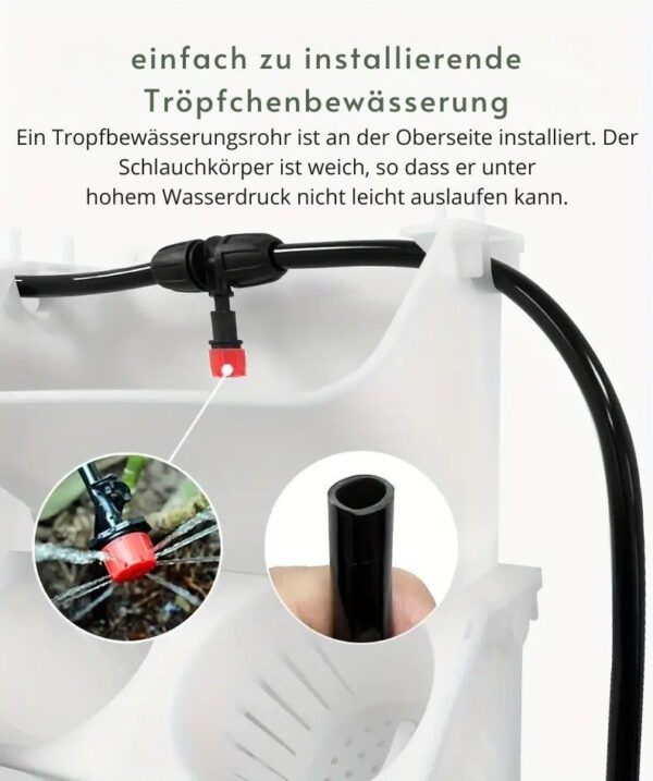 Das 1m² Vertikal-Garten-Set: Frische Wand für Dein Zuhause – Bild 13
