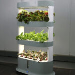 Dein Vertical Garden 2.0: Hydroponik-Pflanzturm
