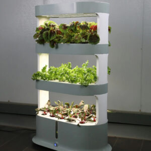 Dein Vertical Garden 2.0: Hydroponik-Pflanzturm